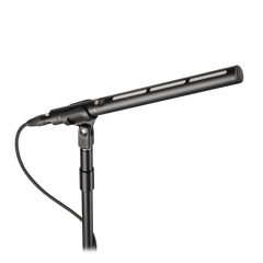 Line + Gradient Large-Diaphragm Condenser Microphone BP28