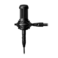 Multi-pattern Condenser Microphone AT2050