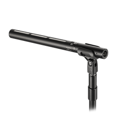 Line + Gradient Large-Diaphragm Condenser Microphone BP28