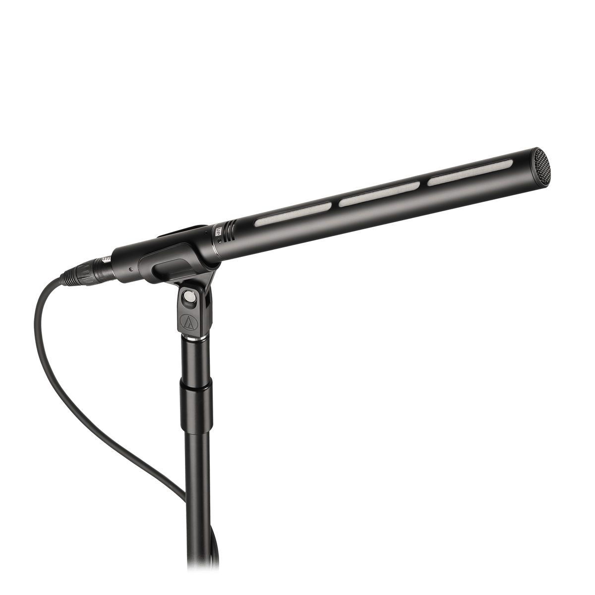 Line + Gradient Large-Diaphragm Condenser Microphone BP28