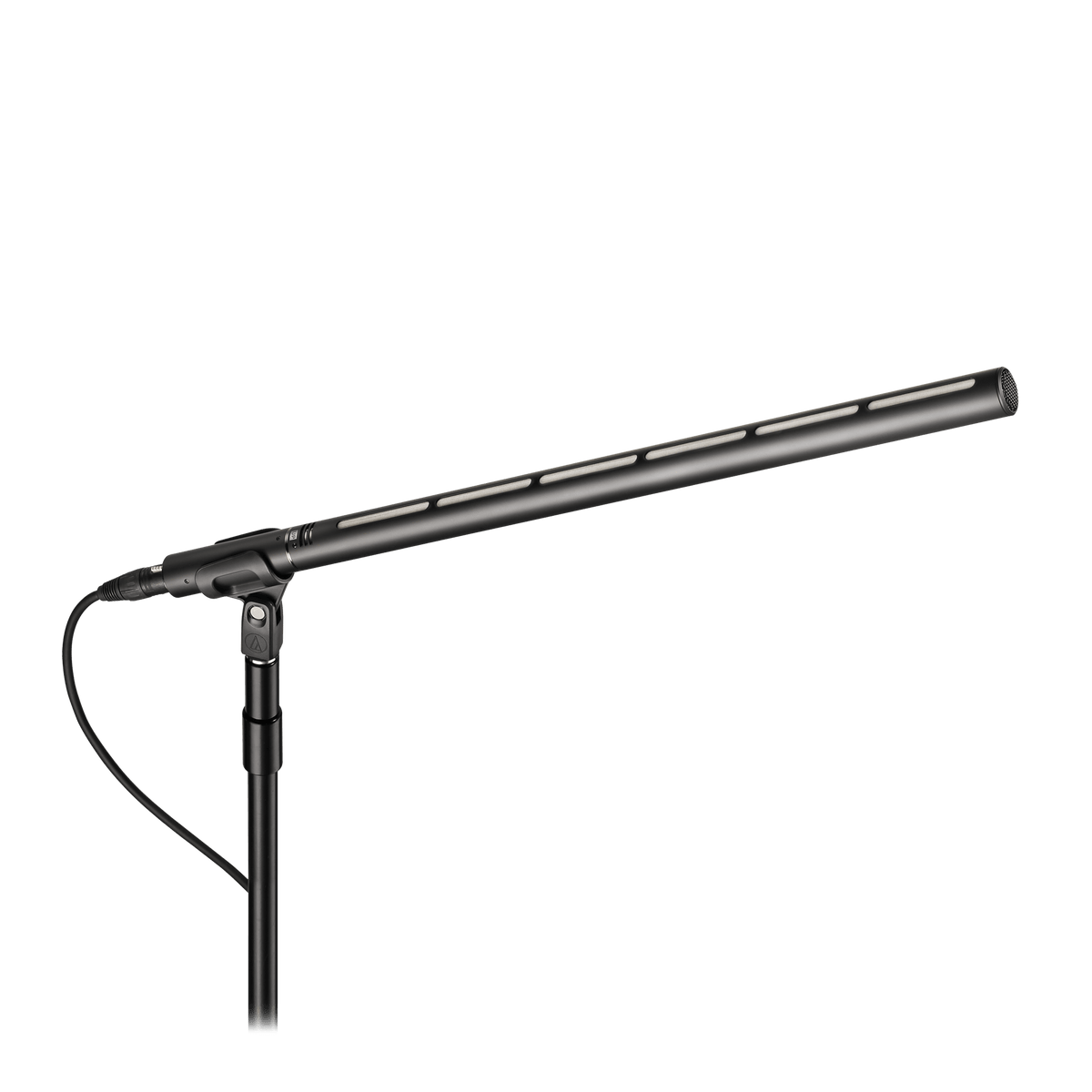 Line + Gradient Large Diaphragm Condenser Microphone BP28L