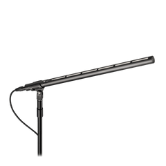 Line + Gradient Large Diaphragm Condenser Microphone BP28L