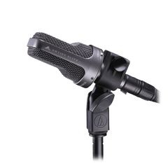 Cardioid Condenser Instrument Microphone AE3000